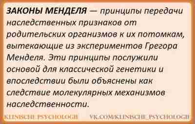 ПЕРВЫЙ И ВТОРОЙ ЗАКОНЫ МЕНДЕЛЯ ЗАКОН ЕДИНООБРАЗИЯ ГИБРИДОВ ПЕРВОГО ПОКОЛЕНИЯ (ПЕРВЫЙ ЗАКОН МЕНДЕЛЯ) Данный…