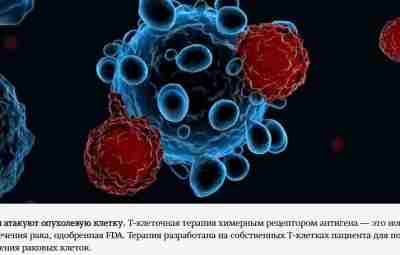 Инновационный способ борьбы с онкологическими болезнями (CAR-T-терапия) — он применялся и в России, но…