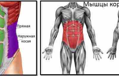 Зачем улучшать стабильность кора? За последние два десятилетия одной из самых популярных форм физических…