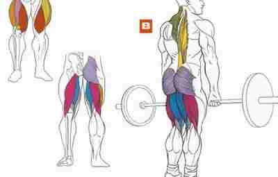Классическая становая тяга Упражнение классическая становая тяга, прокачивает мышцы, прилегающие к позвоночнику, бедрам и…