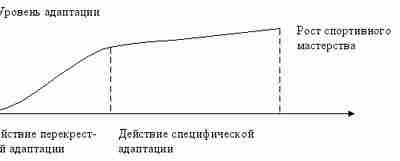 Адаптация как биологическая основа эффектов занятий физическими упражнениями Адаптация — это способность организма приспосабливаться…