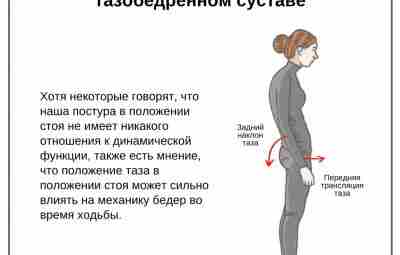 Постура и боль в тазобедренном суставе В последние годы, особенно в сфере социальных медиа,…