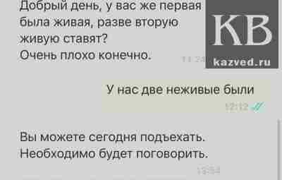 В Казани вакцинированную девочку выгнали из частного детского сада: она пострадала из-за наличия непривитых…