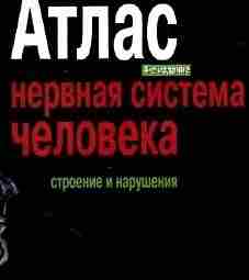 В атласе представлены наиболее удачные иллюстрации из работ ряда зарубежных и отечественных авторов, демонстрирующие…