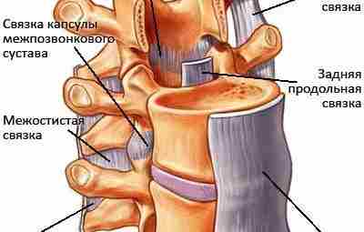 Не лечите МРТ снимков Почему мы считаем, что боль в спине вызвана грыжей межпозвоночного…