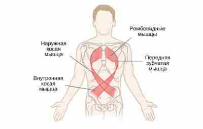 Эффект серапе Термин серапе родом из Мексики. Это длинная одеялоподобная шаль или плащ-накидка, которую…