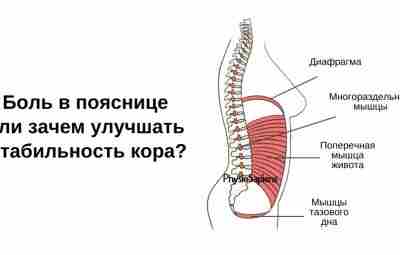 Зачем улучшать стабильность кора? За последние два десятилетия одной из самых популярных форм физических…