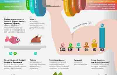 Какие продукты стоит чаще употреблять именно мужчинам