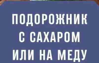 Активный сироп подорожника от самых тяжелых болезней. Подорожник – непритязательная травка. В глубинке его…