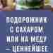 Активный сироп подорожника от самых тяжелых болезней. Подорожник – непритязательная травка. В глубинке его…