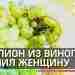 Скорпион, прятавшийся в принесенном из магазина турецком винограде, укусил жительницу Казани #скорпионы…