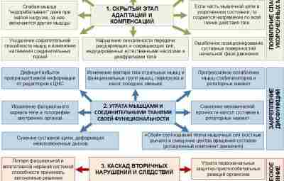 Стадии развития патологического процесса опорно-двигательного аппарата