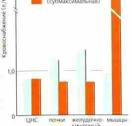 Физическая работа Существует три типа мышечной работы: — Положительная динамическая работа, которая требует от…