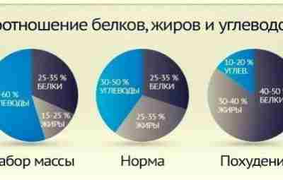 Оптимальное соотношение белков, жиров и углеводов Оптимальное соотношение белков, жиров и углеводов, изображение №1…