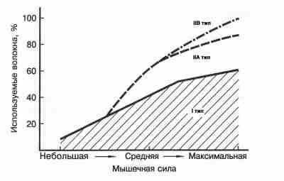 ПРАВИЛО РАЗМЕРА ХАННЕМАНА Любое изменение положения тела человека или его отдельных частей относительно друг…