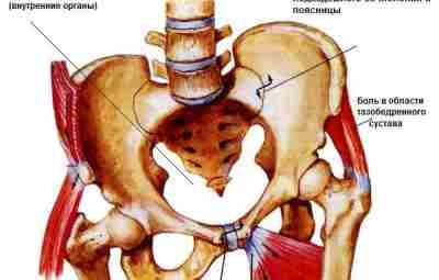 Перекос таза и его последствия. Все мы рождаемся с подвижным крестцого-подвздошным сочленением, однако к…