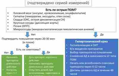 #кардиология #гипертония #кризы Как надо и как не надо лечить гипертонические кризы — актуальный…
