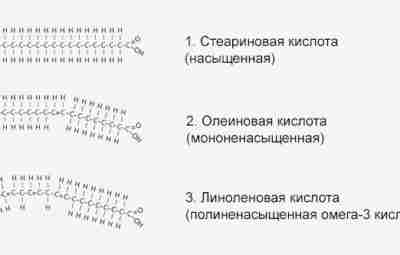 Опасно ли есть много жира? Еще десяток лет назад никто не сомневался в том,…