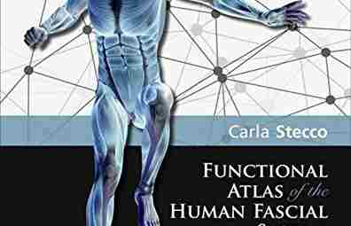 Functional Atlas of the Human Fascial System, Carla Stecco («Функциональный Атлас фасциальных систем человека»,…
