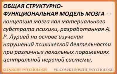 БЛОКИ МОЗГА На основании накопленных за длительное время исследований и достижений в области неврологии,…