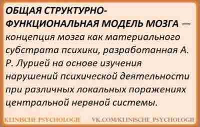 БЛОКИ МОЗГА На основании накопленных за длительное время исследований и достижений в области неврологии,…