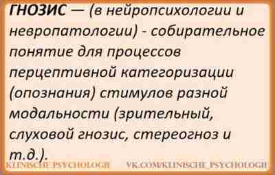 ГНОСТИЧЕСКИЕ РАССТРОЙСТВА ПРИ ПОРАЖЕНИИ ЗАТЫЛОЧНЫХ ДОЛЕЙ ГОЛОВНОГО МОЗГА Поражение вторичных 18-го и 19-го полей…
