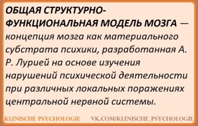 БЛОКИ МОЗГА На основании накопленных за длительное время исследований и достижений в области неврологии,…