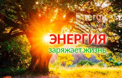 Академик Бехтерев обратил внимание на то, что более 80% людей незаметно…