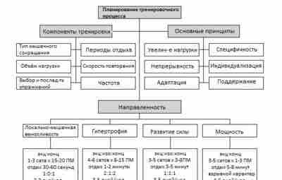 Принципы силовой подготовки Помимо спорта высших достижений направленного на соревновательный результат, тренировки с отягощениями…