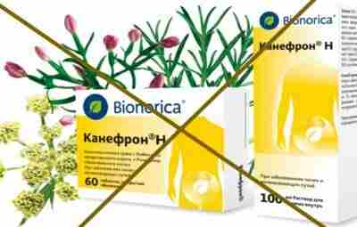 Если фуфлoмицин КАНЕФРОН назначает уролог, нефролог или терапевт — от такого неграмотного специалиста нужно…