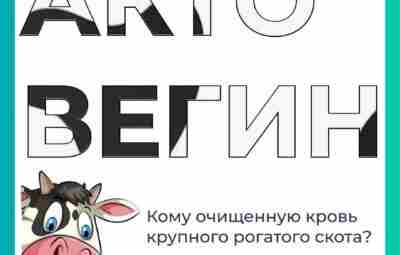 АКТОВЕГИН. Данный препарат в нашей стране регулярно назначают при самых разных заболеваниях в таблетках…