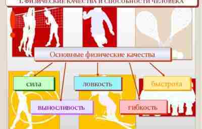 Физические способности и физические качества Физические способности — это комплекс морфологических и психофизиологических свойств…