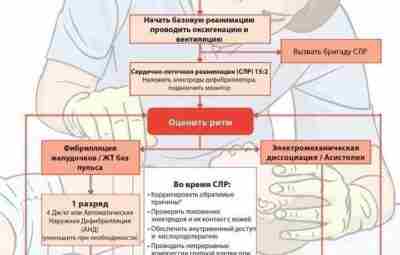 Сердечно-легочная реанимация от European Resustication Council