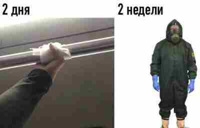 МИКРОБИОЛОГИЯ: ВЫ — ХОДЯЧАЯ ВСЕЛЕННАЯ, А ВАШ КИШЕЧНИК — ПРЕЗИДЕНТ 🦠 Вы думаете, что…