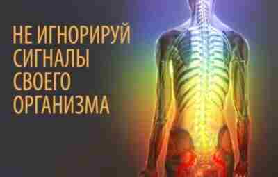 Наш организм и его сигналы Врачи уверены, что в нашем организме «вдруг» ничего не…