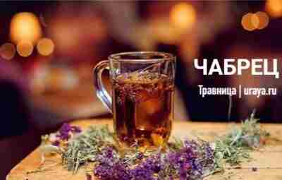 Эффективные целебные рецепты на основе чабреца 1. При заболеваниях верхних дыхательных путей: Для приготовления…