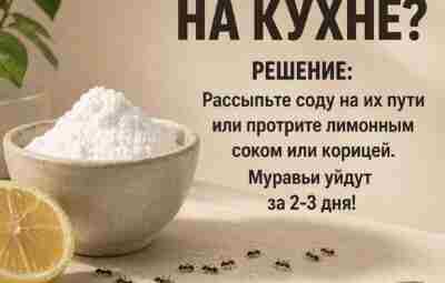 Обязательно сохраните к себе