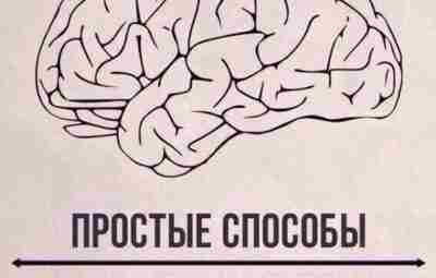 Простые способы повысить КПД своего мозга включают в себя комплекс мер, направленных на улучшение…